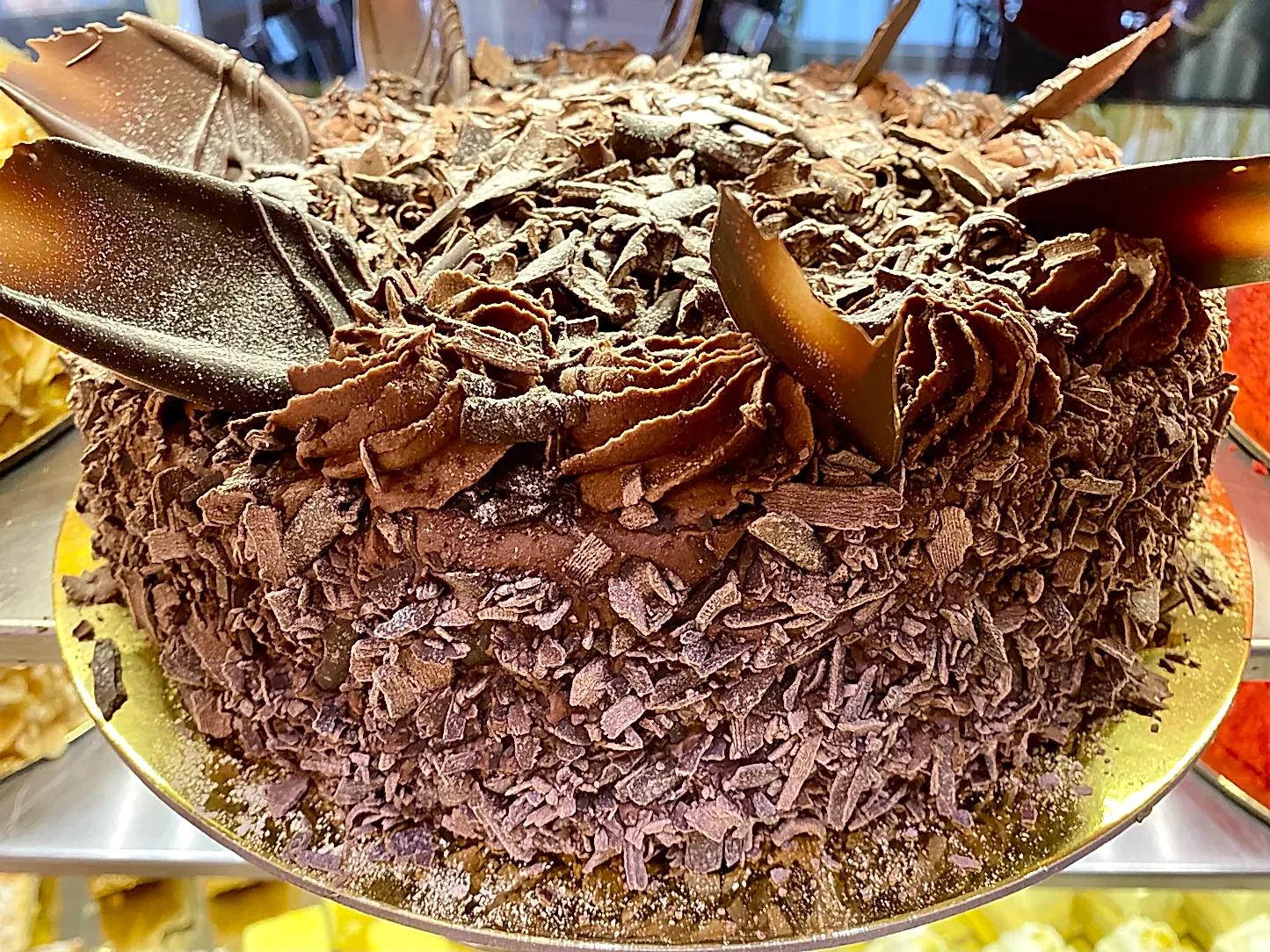 Chocolate Sponge